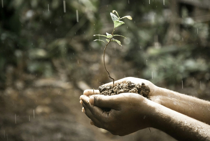 Rain over Life