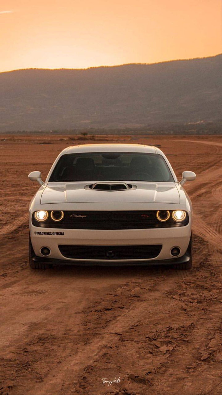 mustang