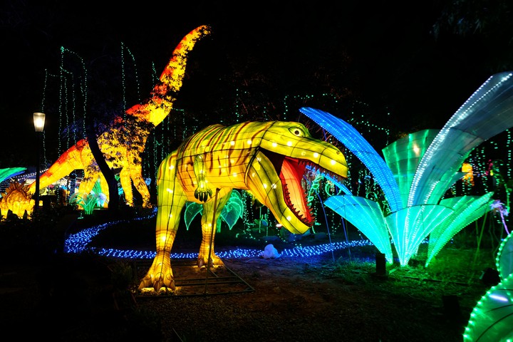 Dinosaur