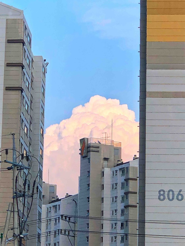 일상의 풍경