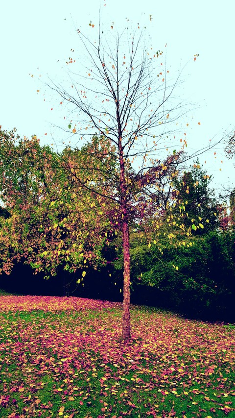 Beautiful nature