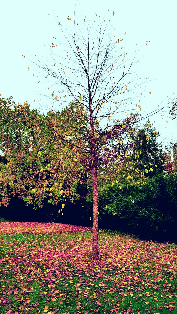 Beautiful nature