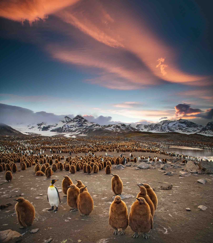 Mountains