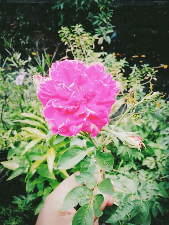 Just look at its beauty