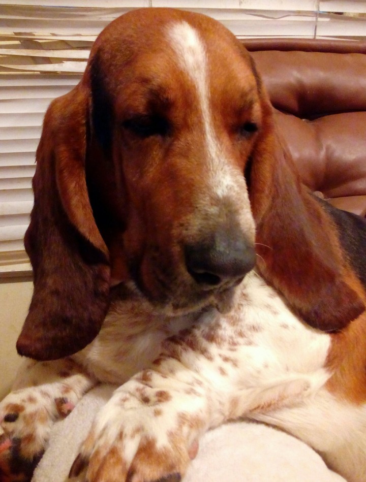 Sleepy "Gordo"