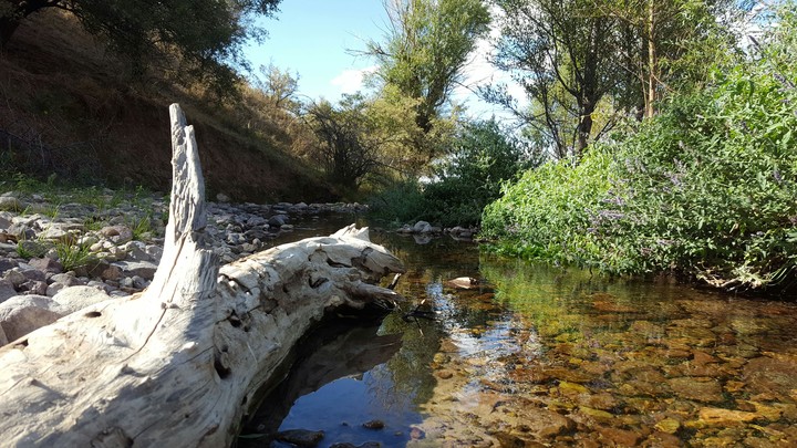 вода