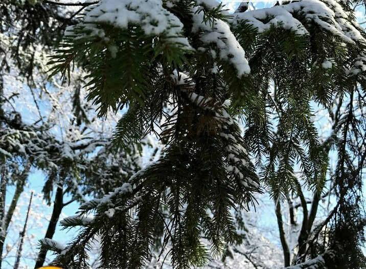Snow