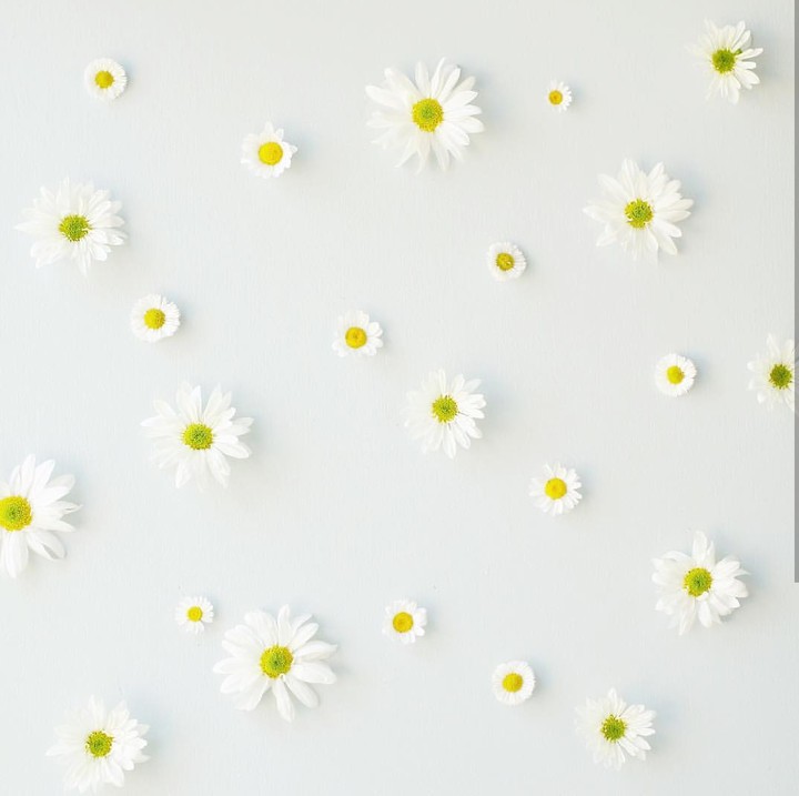 daisy pattern