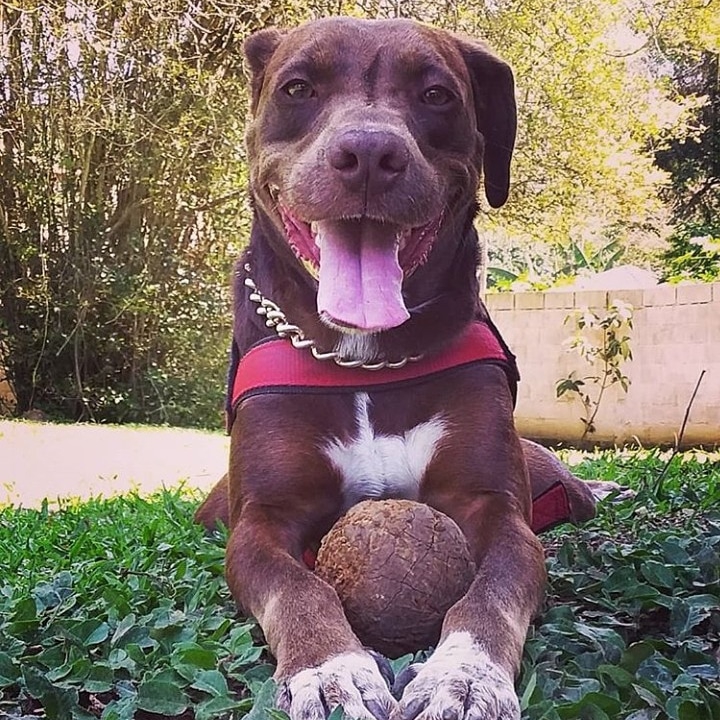 Amo!!!!