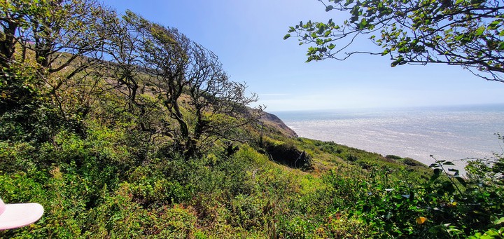 IOW
