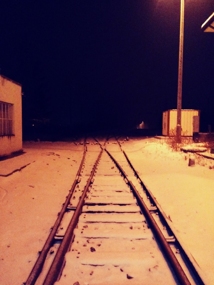 Night
