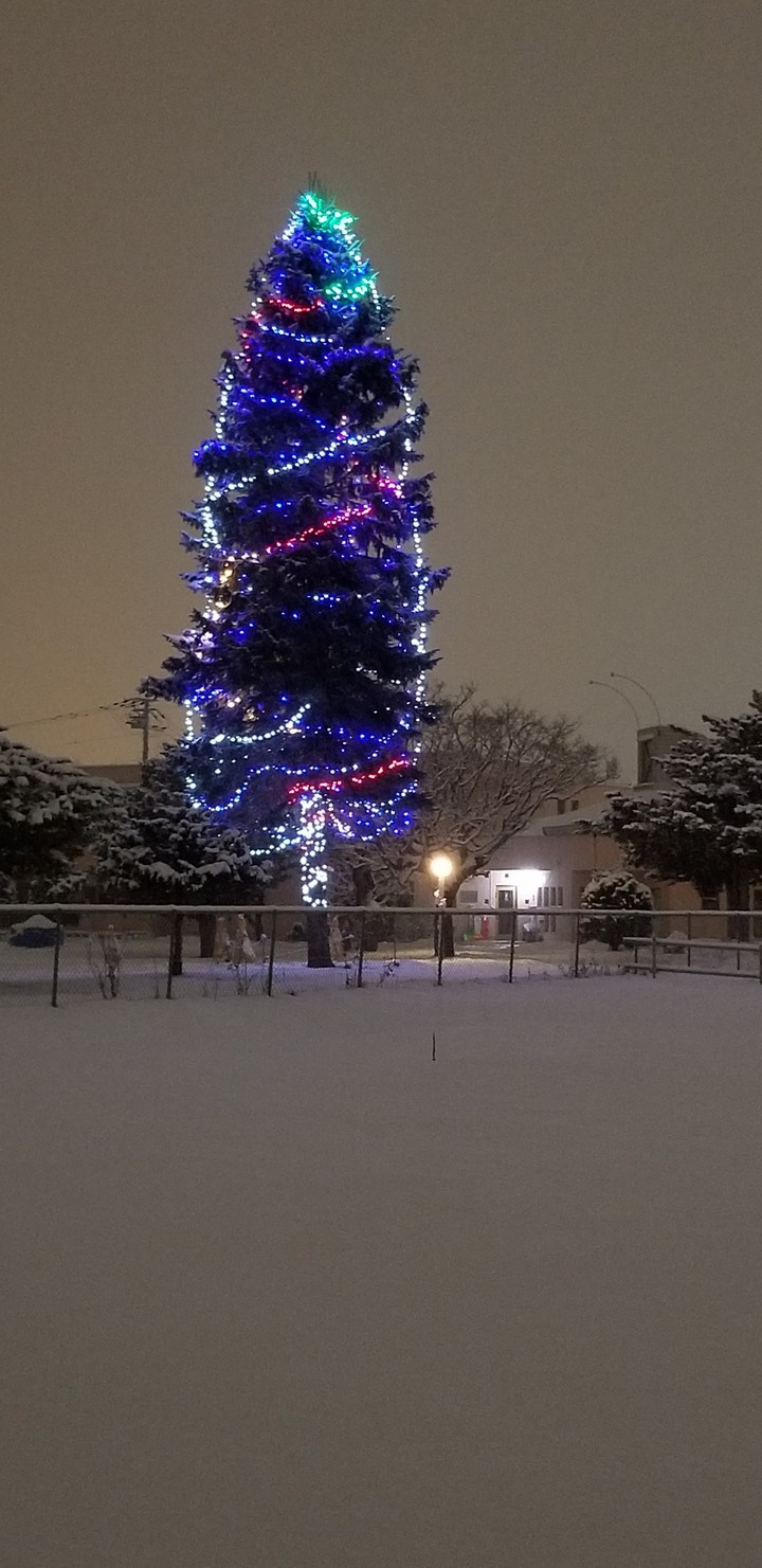クリスマスツリー3