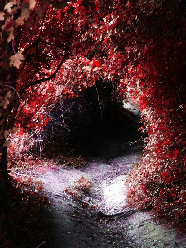 Beautiful way