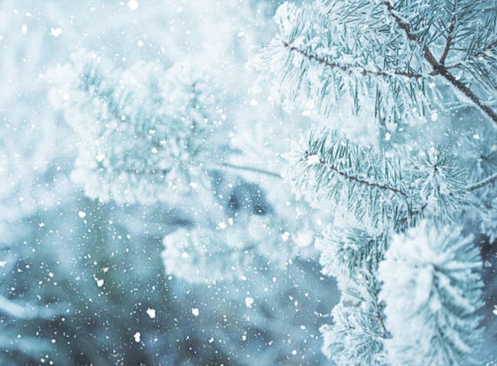 Winter