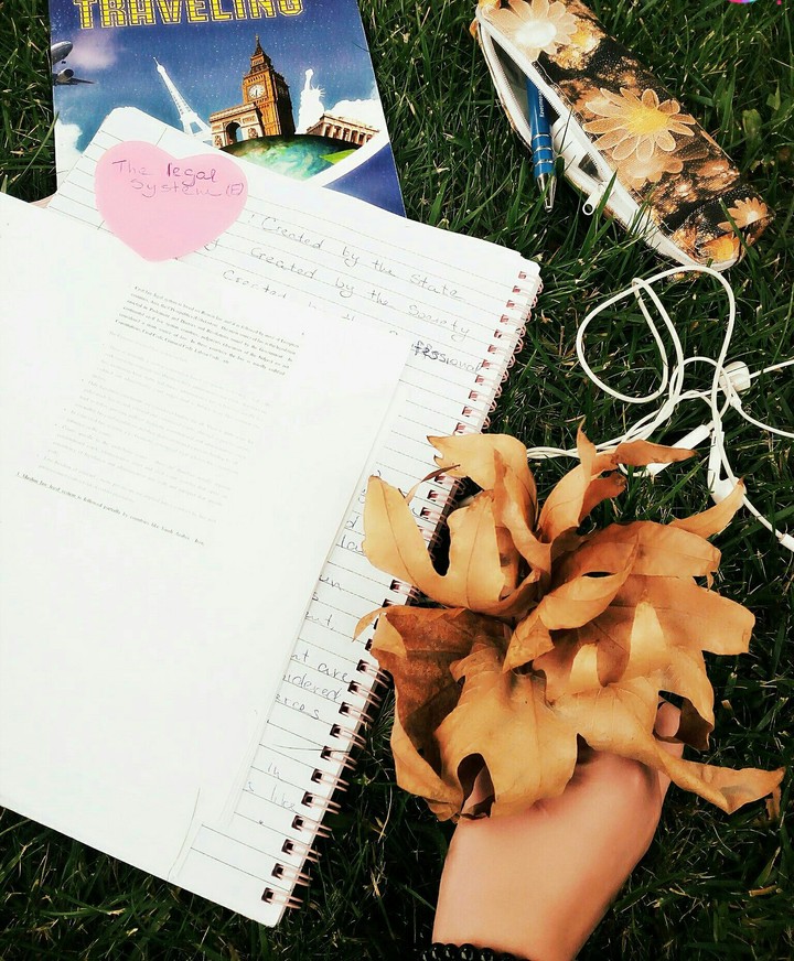 Studying for exam
