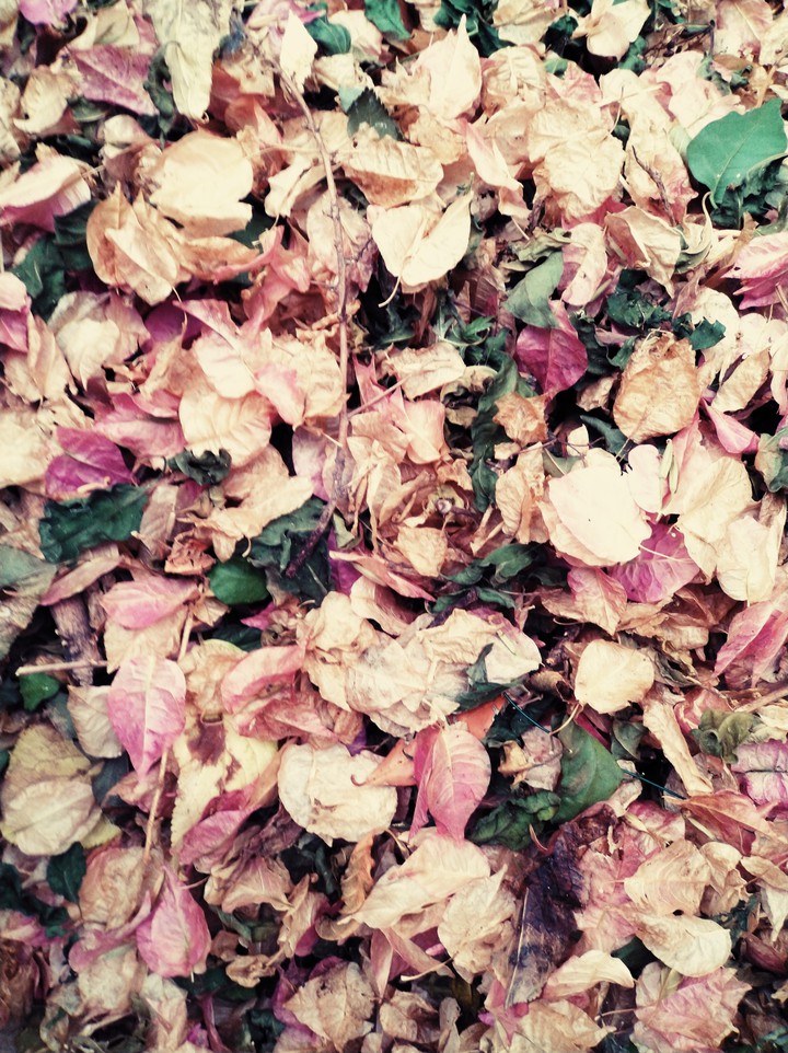 Fall