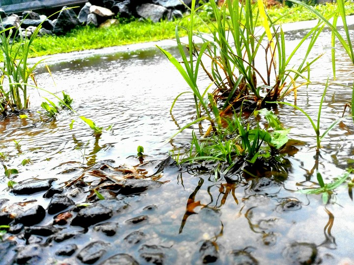 water