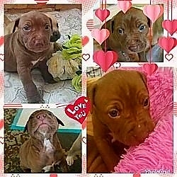 ♥️♥️♥️♥️