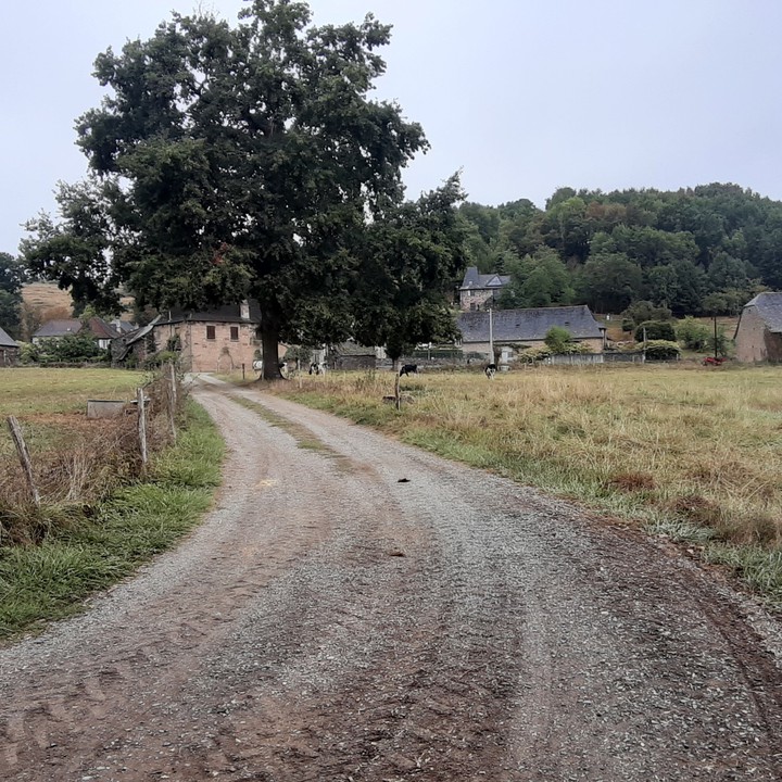 le chemin