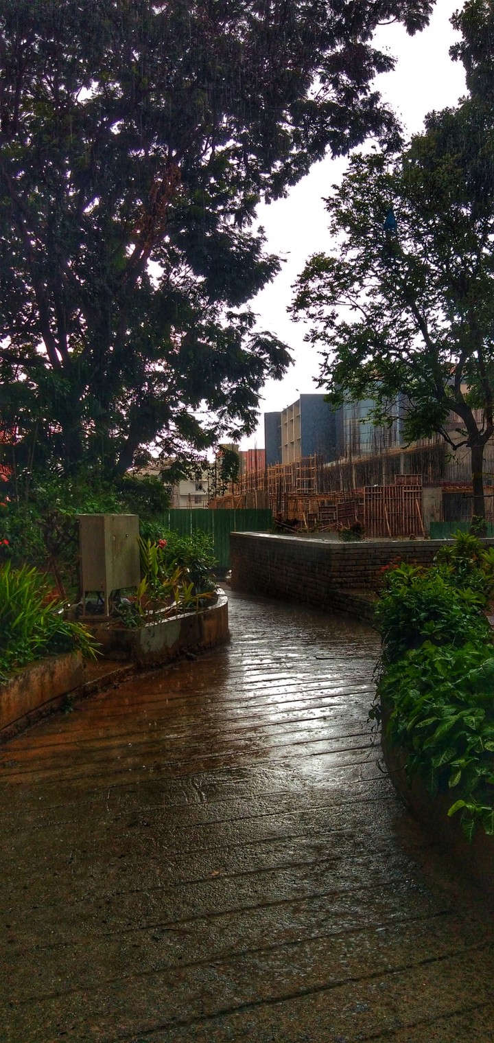 End Of Wait .. Rain