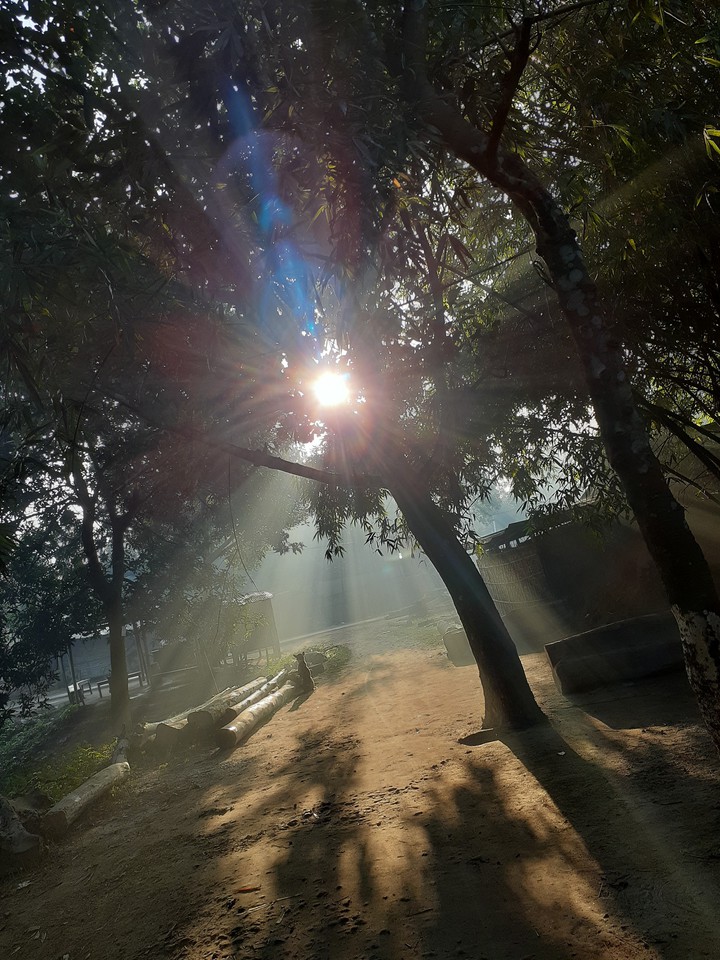 sun