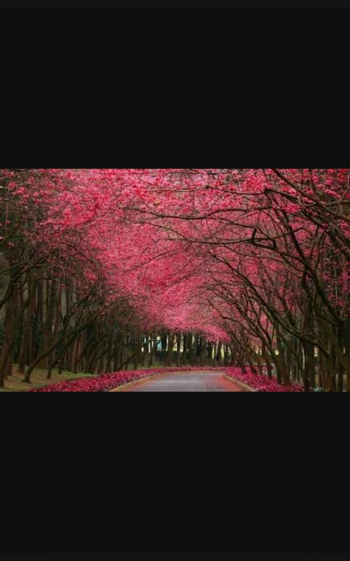 road view