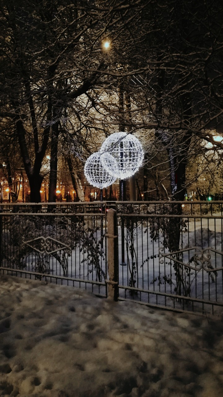 Зимний сад