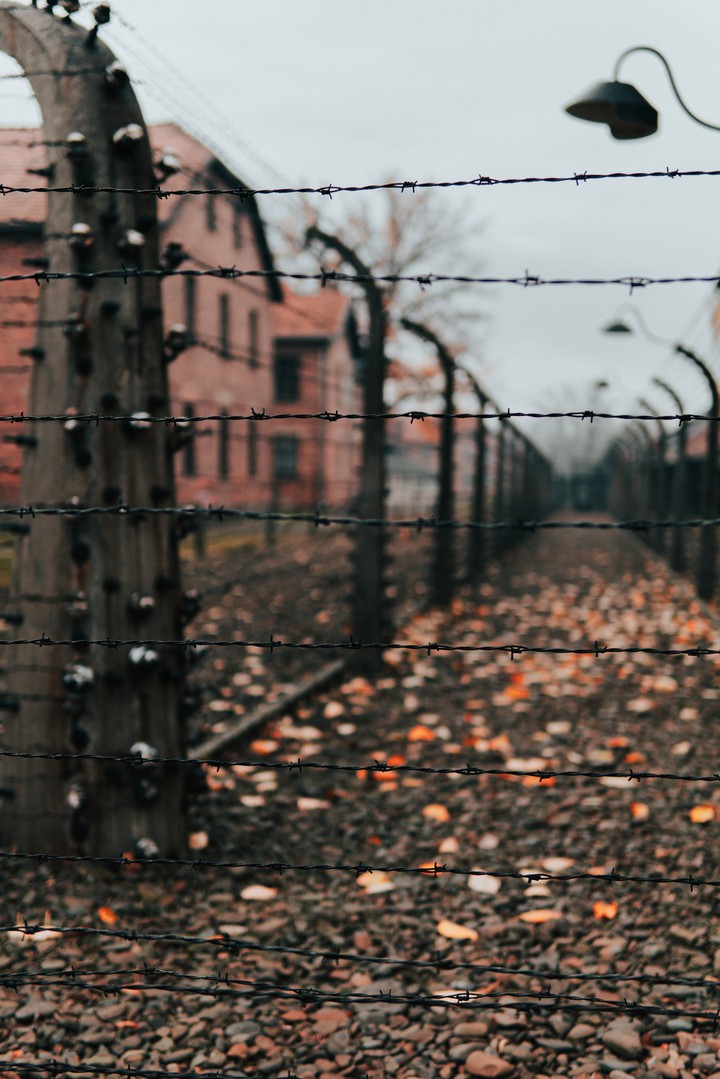 Fence
