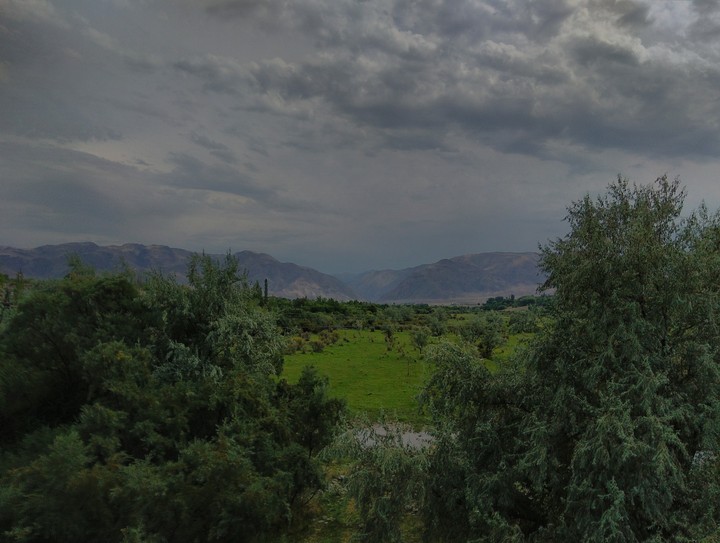 nature