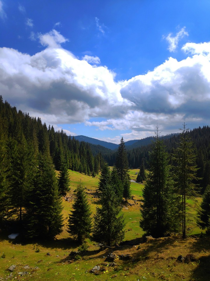 nature
