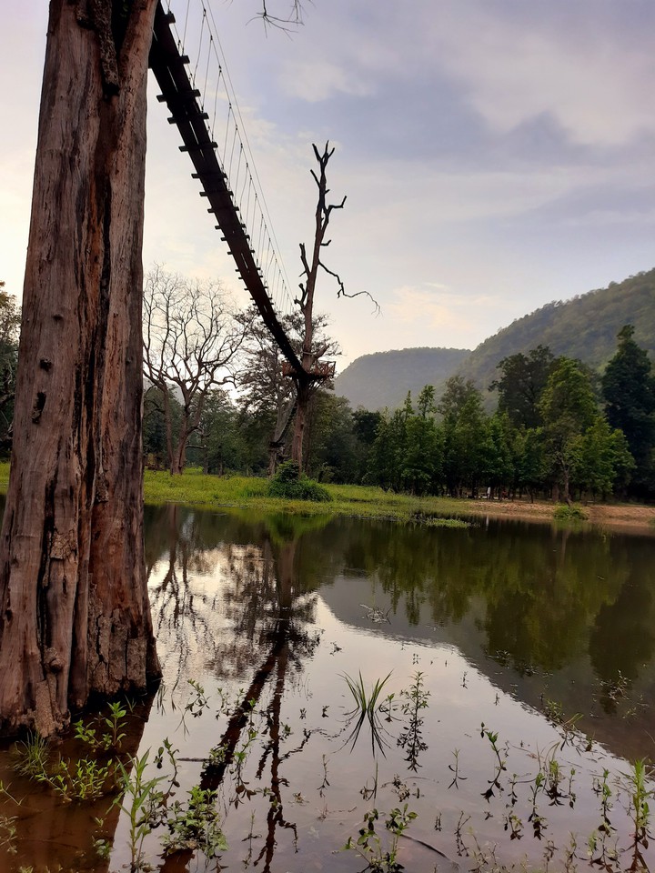 naturee