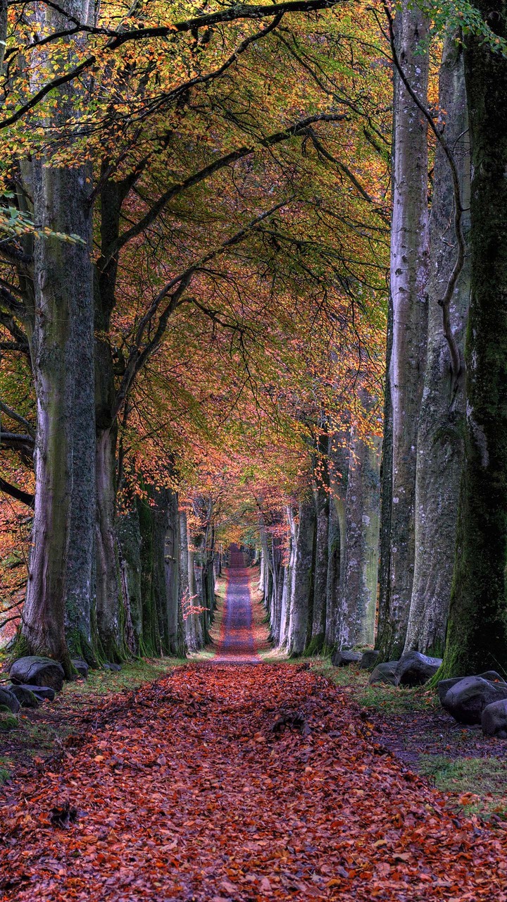 L'automne