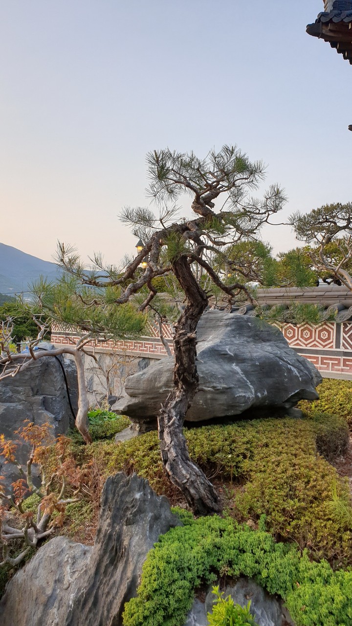 조경