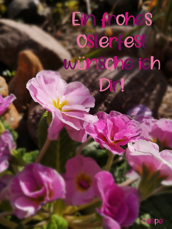 Ein frohes Osterfest wünsche ich dir