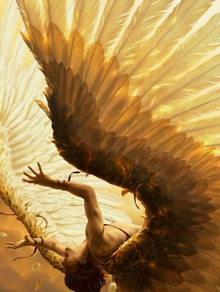 fallen