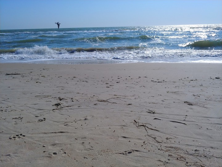 Sea