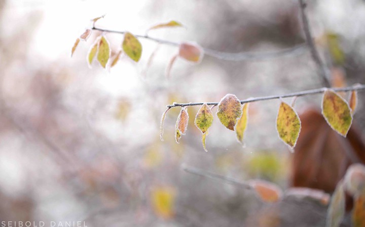 herbstlich