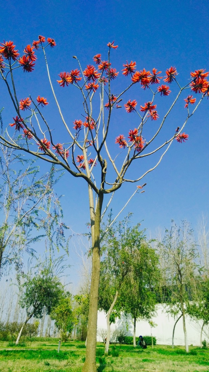 click from.mi