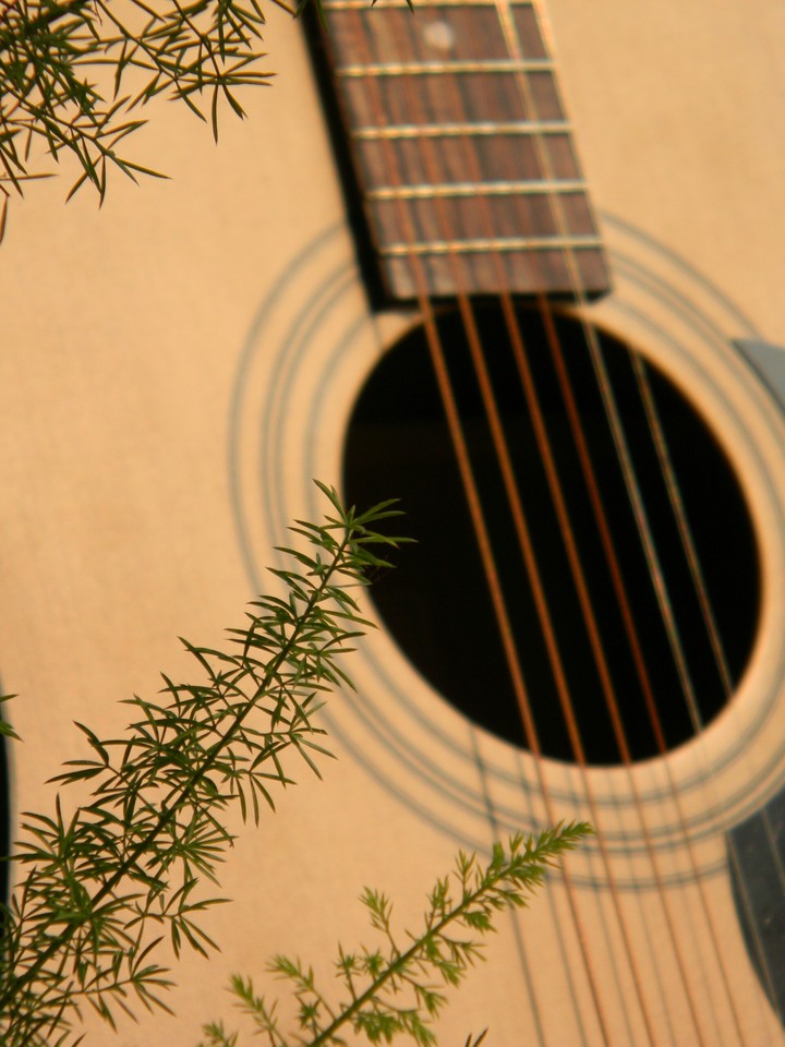 Guitar