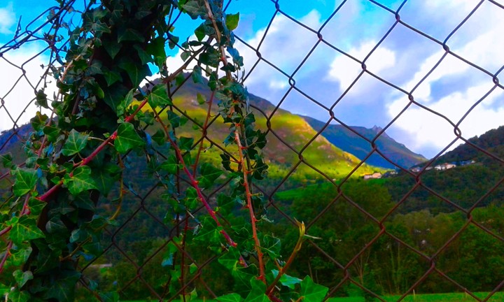 mountain
