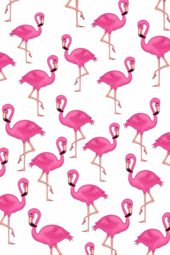 pink flamingo