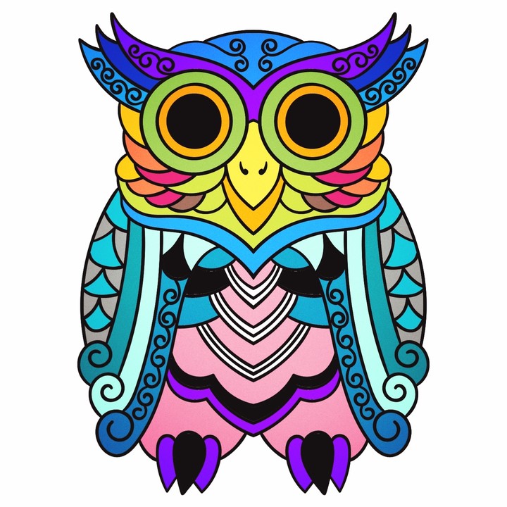 owl