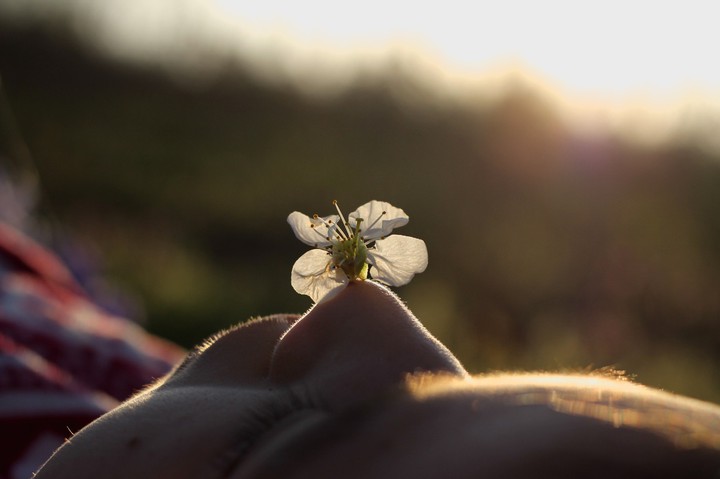 Fragility