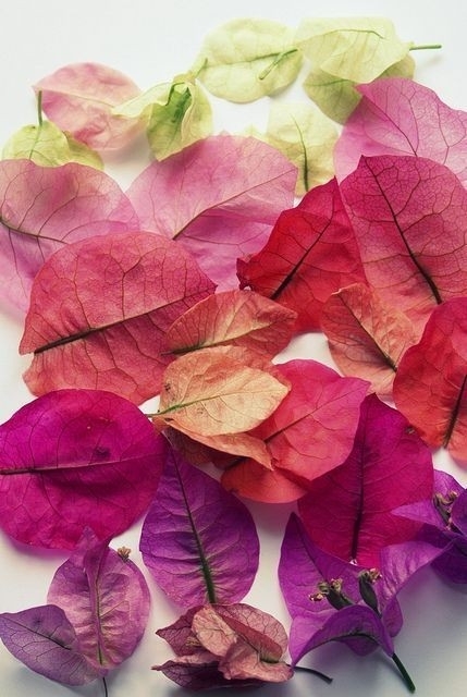 colours