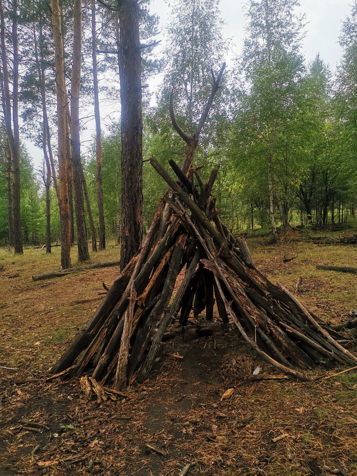 Лес