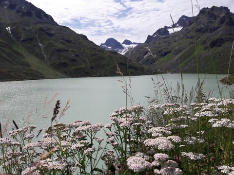 Mountain lake
