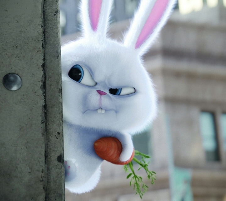 Cute