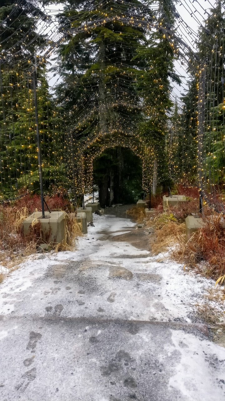 snowlights