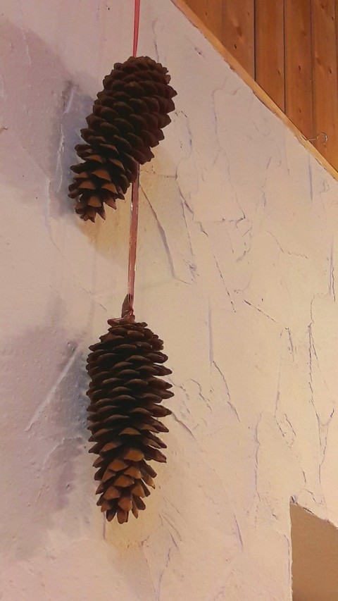 Tannenzapfen