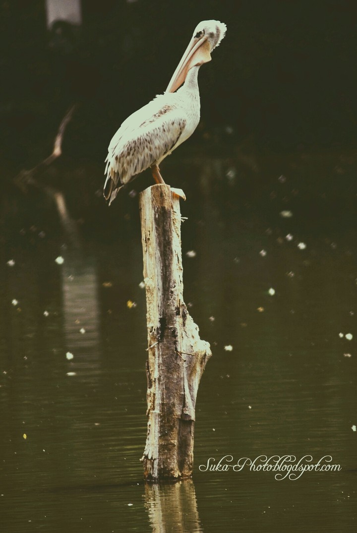 lonely